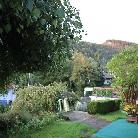 Apartment Birkenstuebchen Lautenthal