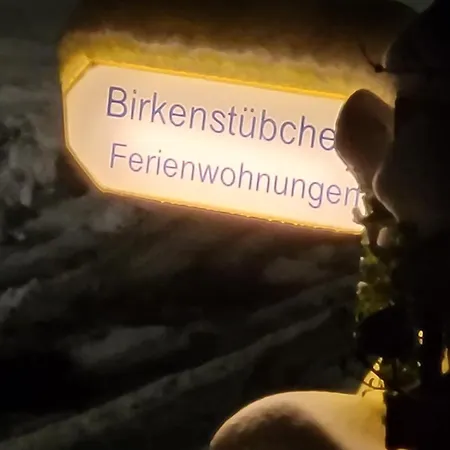 Apartment Birkenstuebchen Lautenthal