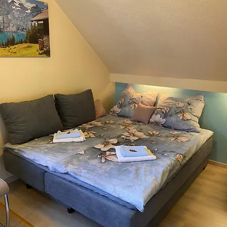 Apartment Birkenstuebchen *