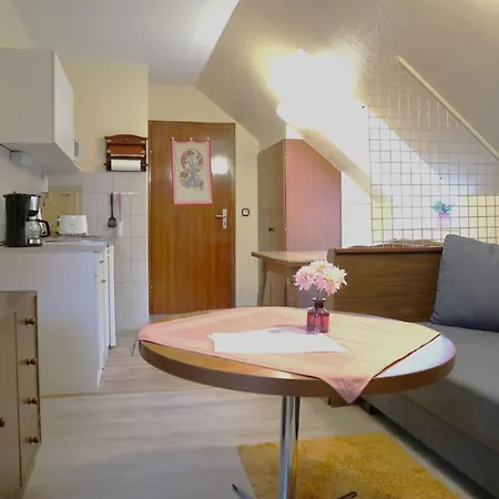 Apartment Birkenstuebchen *