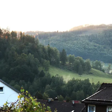 Birkenstübchen Apartment *