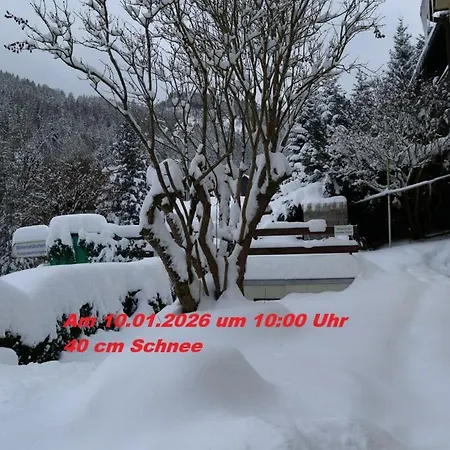 Apartamento Birkenstübchen Lautenthal