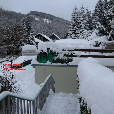 Birkenstuebchen شقة Lautenthal