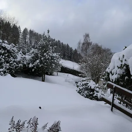 Apartamento Birkenstübchen *
