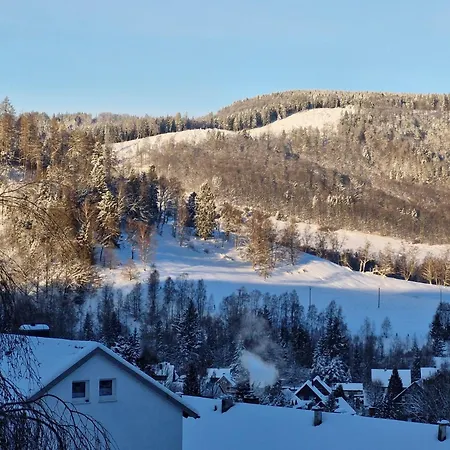 Birkenstuebchen