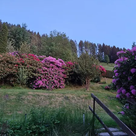 Birkenstübchen *